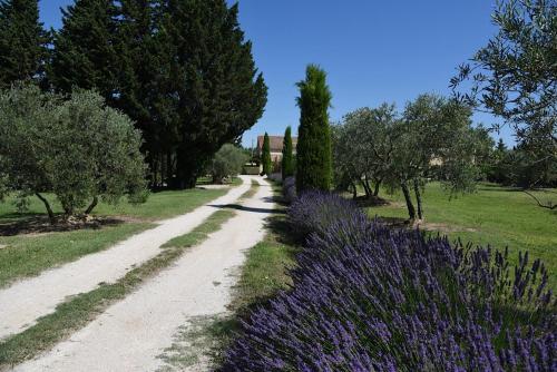 Vacances en Provence LaBimarde. : Hebergement proche de Monteux