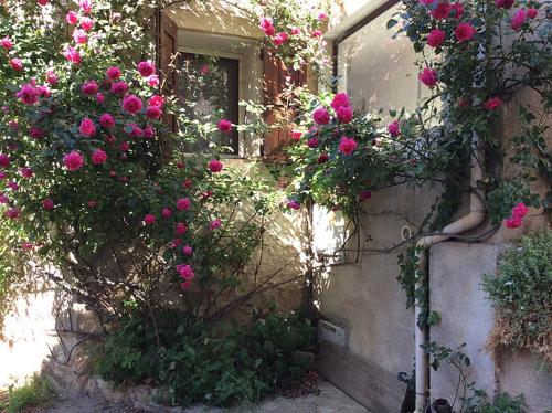 Provence, Luberon, La Cocoune, NID, au coeur du village perché rural : Appartement proche de Banon