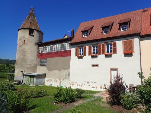 Les Gîtes de la tour, appartement le Vignoble : Appartement proche d'Orschwiller