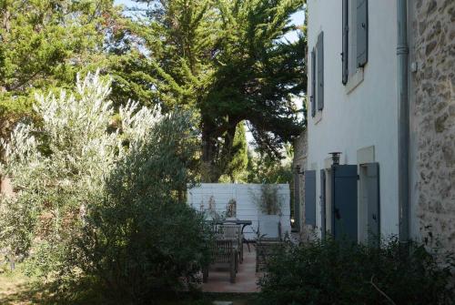 Camelias/Feïjoas Apartments : Appartement proche de Saint-Couat-d'Aude