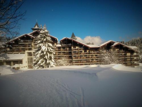 PRAZ DE LYS Les terrasses du Mont_Blanc : Appartement proche de Taninges