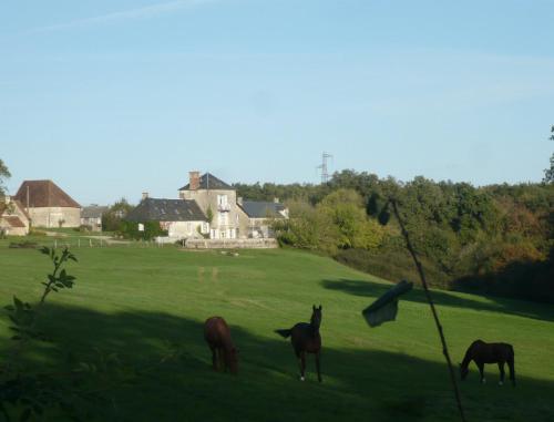 Domaine de Montgenoux : Hebergement proche de Roussines