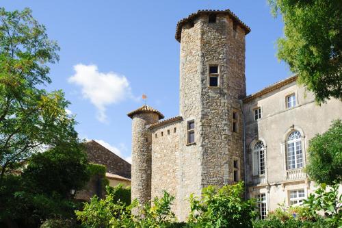 Cesseras Chateau Sleeps 18 Pool WiFi : Hebergement proche de La Caunette
