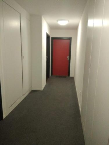 Hatt Appartement : Appartement proche de Dingsheim