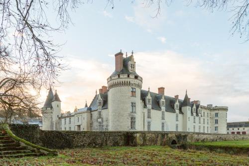 Château de Dissay : Chambres d'hotes/B&B proche de Sossais