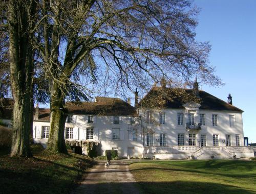 Le Chateau de Prauthoy : Chambres d'hotes/B&B proche de Chatenay-Vaudin