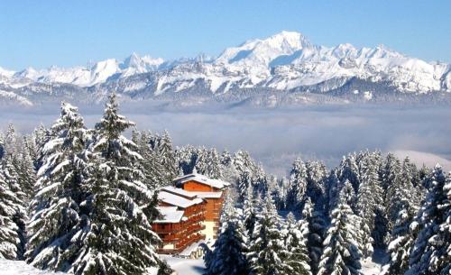 Le Mont Blanc Résidence : Appartement proche de Les Déserts