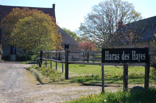 Haras des Hayes : Hebergement proche de Saint-Mars-de-Locquenay