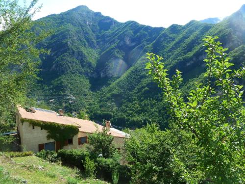 Le Mont d'Olivine : Chambres d'hotes/B&B proche de Touët-de-l'Escarène