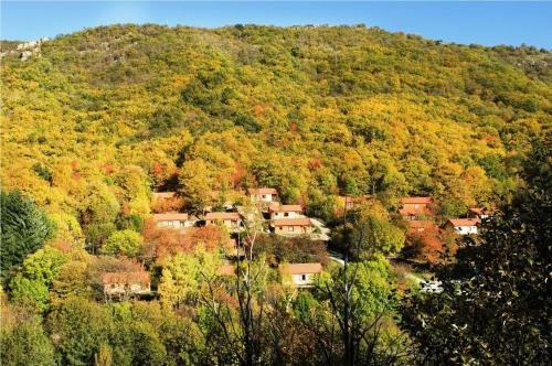 Villages de Gîtes des Châtaigniers du Lac : Hebergement proche de La Bastide-Puylaurent