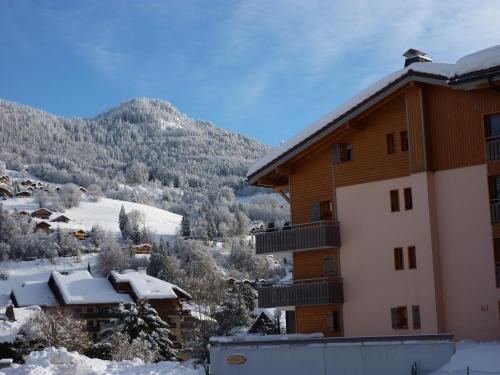 appartement in de Haute Savoie (Saint Jean de Sixt)