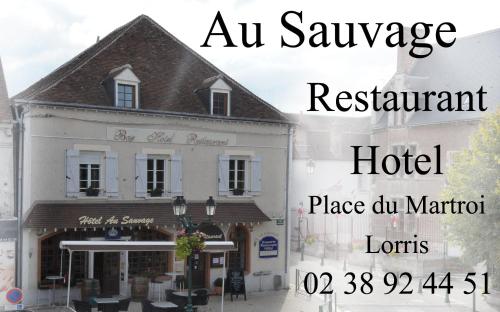 Au Sauvage : Hotel proche d'Amilly