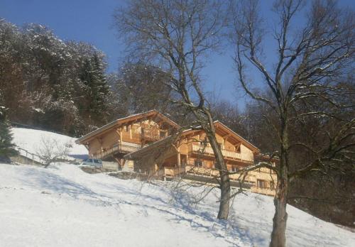 Le Chalet Vue Mont-Blanc : Appartement proche de Sallanches