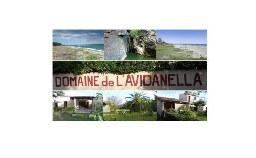 Domaine de l'Avidanella : Appartement proche de Taglio-Isolaccio
