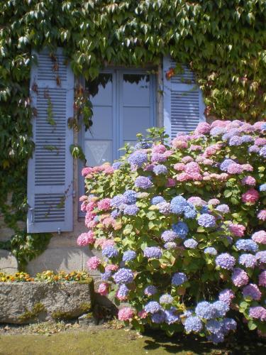 Une Chambre en Bretagne : Chambres d'hotes/B&B proche de La Prénessaye