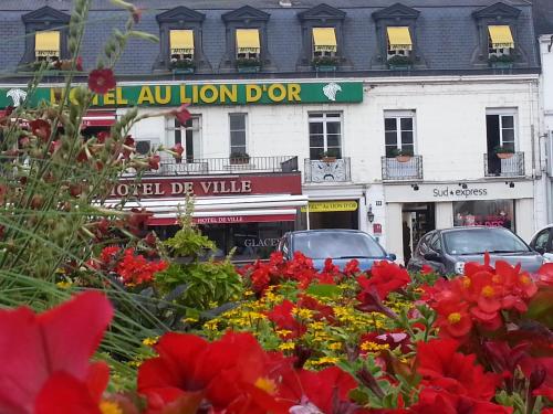 Hôtel Au Lion D'or : Hotel proche de Saint-Aubin-des-Grois