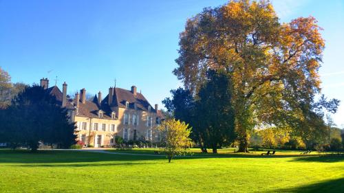 Château de Vault de Lugny : Hotel proche de Neuffontaines