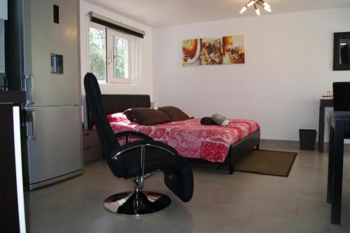 Studio d'hôtes Villa Castelnau : Appartement proche de Prades-le-Lez