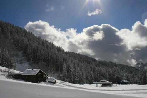 La Chanterelle - Mountain Lodge : Hebergement proche d'Onnion