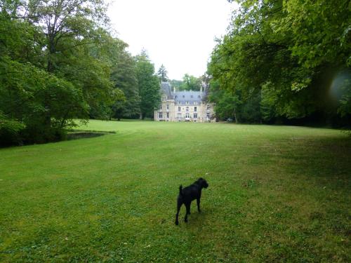 Chateau de la Raffe : Hebergement proche de Roches-sur-Marne