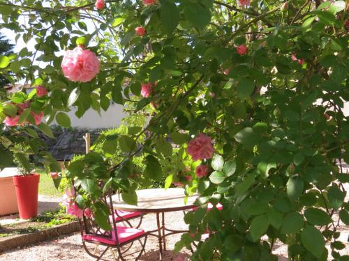Le Jardin : Chambres d'hotes/B&B proche d'Eygalayes