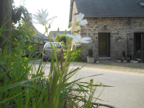 Owl Cottage Le Chataignier : Hebergement proche de Martigné-sur-Mayenne