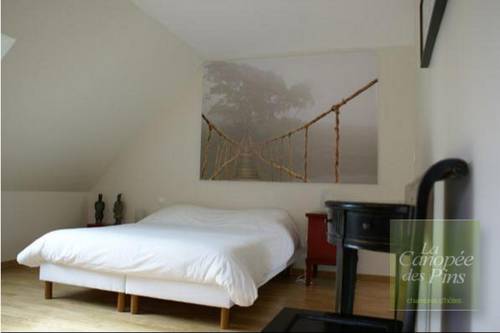 La Canopée des Pins : Chambres d'hotes/B&B proche de Plougoulm