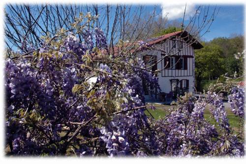 Maison d'Hôtes Uhaldia : Chambres d'hotes/B&B proche de Saint-Esteben