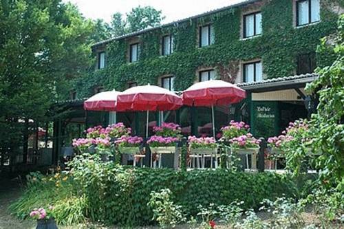 Logis Hotel Le Relais De Comodoliac : Hotel proche de Chirac