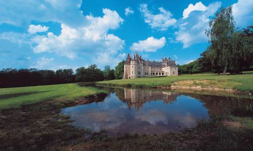 Château de la Verrerie : Hotel proche de Subligny