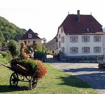 Villa Du Sendenbach : Hotel proche de Luttenbach-près-Munster