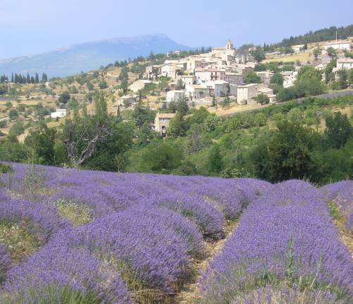 Logis Le Relais Du Mont Ventoux : Hotel proche de Revest-du-Bion