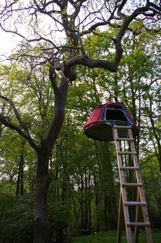 Woody Park : Complexe proche de Limpiville