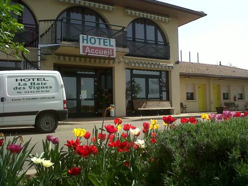 Hotel La Haie Des Vignes : Hotel proche de Gye