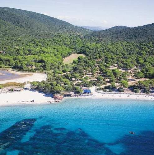 Palmiers de Palombaggia : Residence proche de Porto-Vecchio