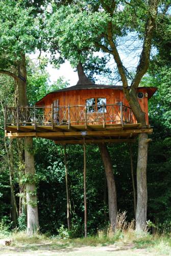 Le Nid dans l'Arbre : Complexe proche de Montigny-Lengrain