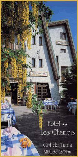 Hôtel Les Chamois : Hotel proche de Fontan