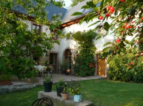 Le Chat Rouge Chambres d'Hôtes de Charme en Alsace : Chambres d'hotes/B&B proche de Lapoutroie