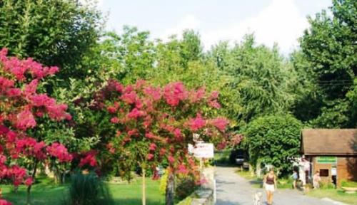 Camping Beau Rivage : Complexe proche de Florimont-Gaumier