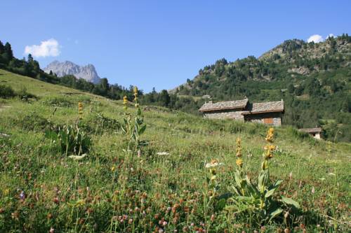 Madame Vacances Résidence Les Chalets Du Thabor : Residence proche de Villarodin-Bourget