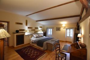 Chambres d'hotes/B&B Chateau De Laroche : Suite Lit King-Size