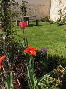 Chambres d'hotes/B&B Demeure Saint Martin : Suite Deluxe