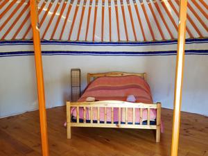 Hebergement Mas du Canigou : photos des chambres