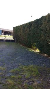 Hebergement Ferme de la Ruette : photos des chambres