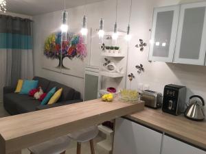 Appartement Riviera Terrasse Nice : photos des chambres