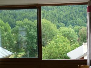 Appartement Les Serintes : photos des chambres
