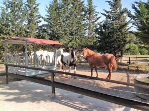 Hebergement Mas Baumelle : photos des chambres