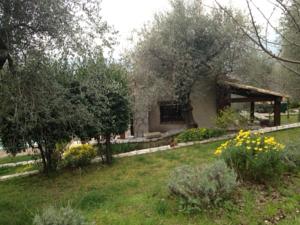 Hebergement L'olivette : photos des chambres