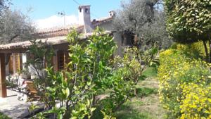 Hebergement L'olivette : photos des chambres
