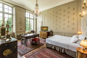 Chambres d'hotes/B&B Hotel de Panette - Un Chateau en Ville : photos des chambres